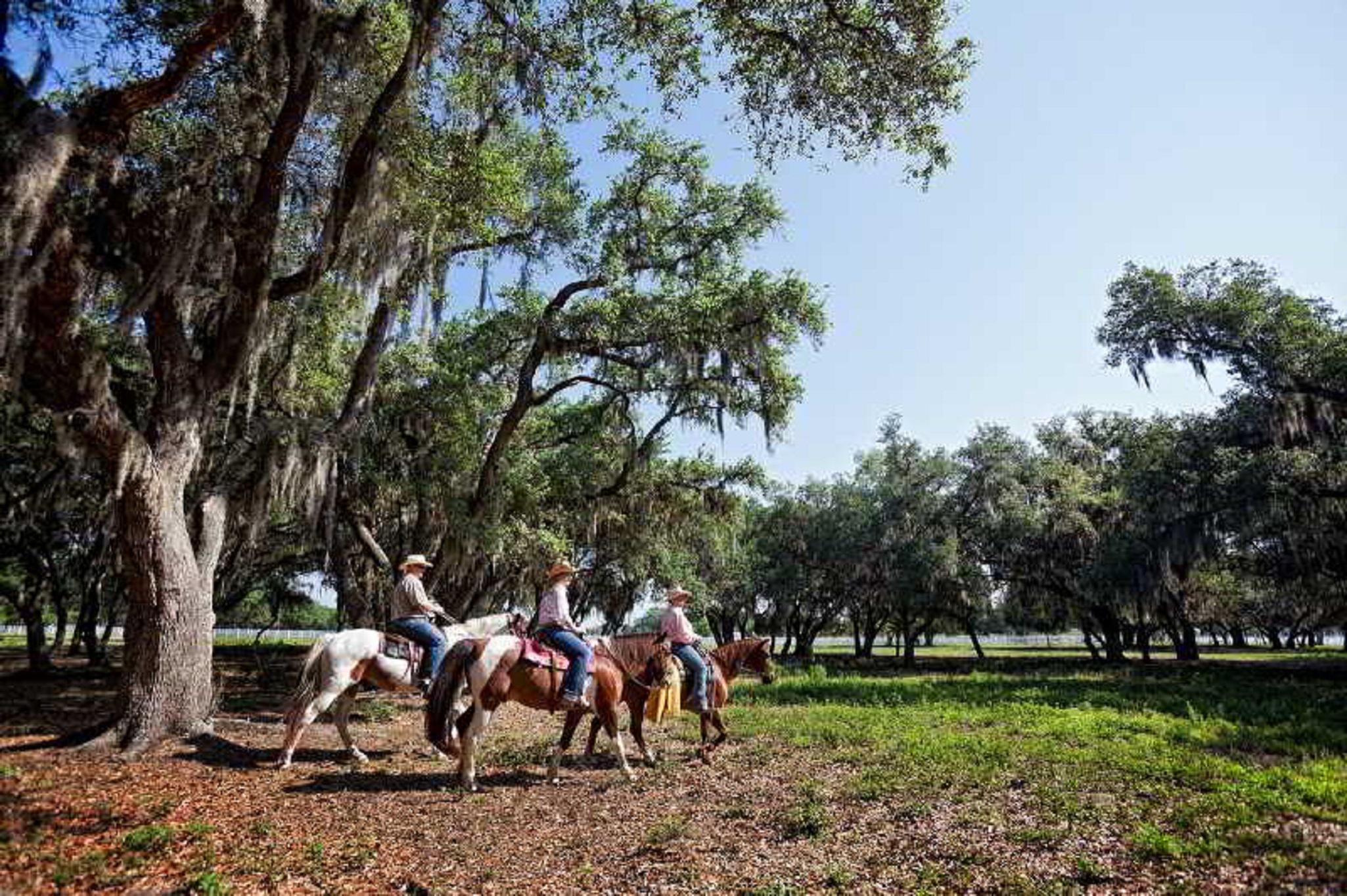 Westgate River Ranch Resort & Rodeo Exteriér fotografie