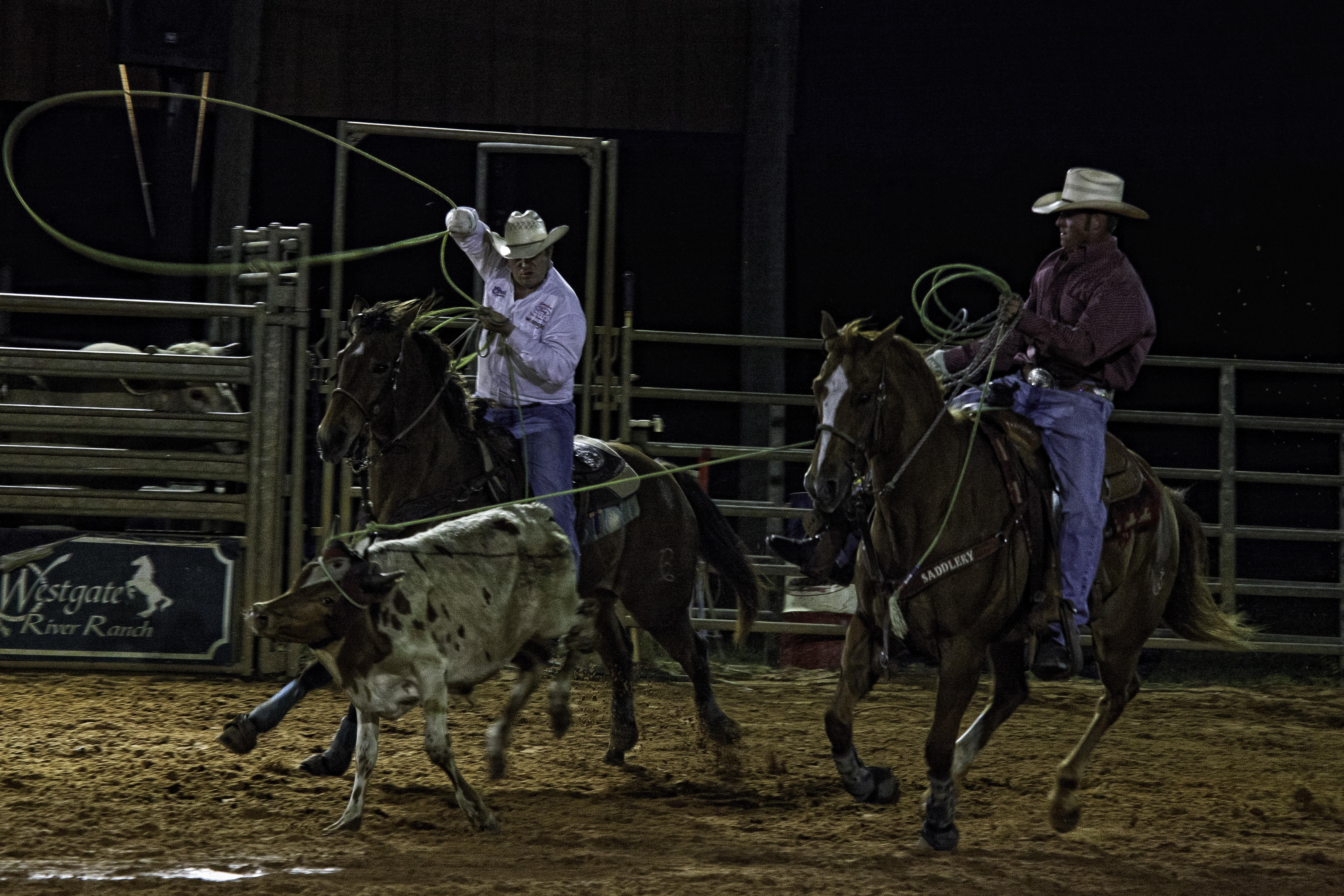 Westgate River Ranch Resort & Rodeo Exteriér fotografie